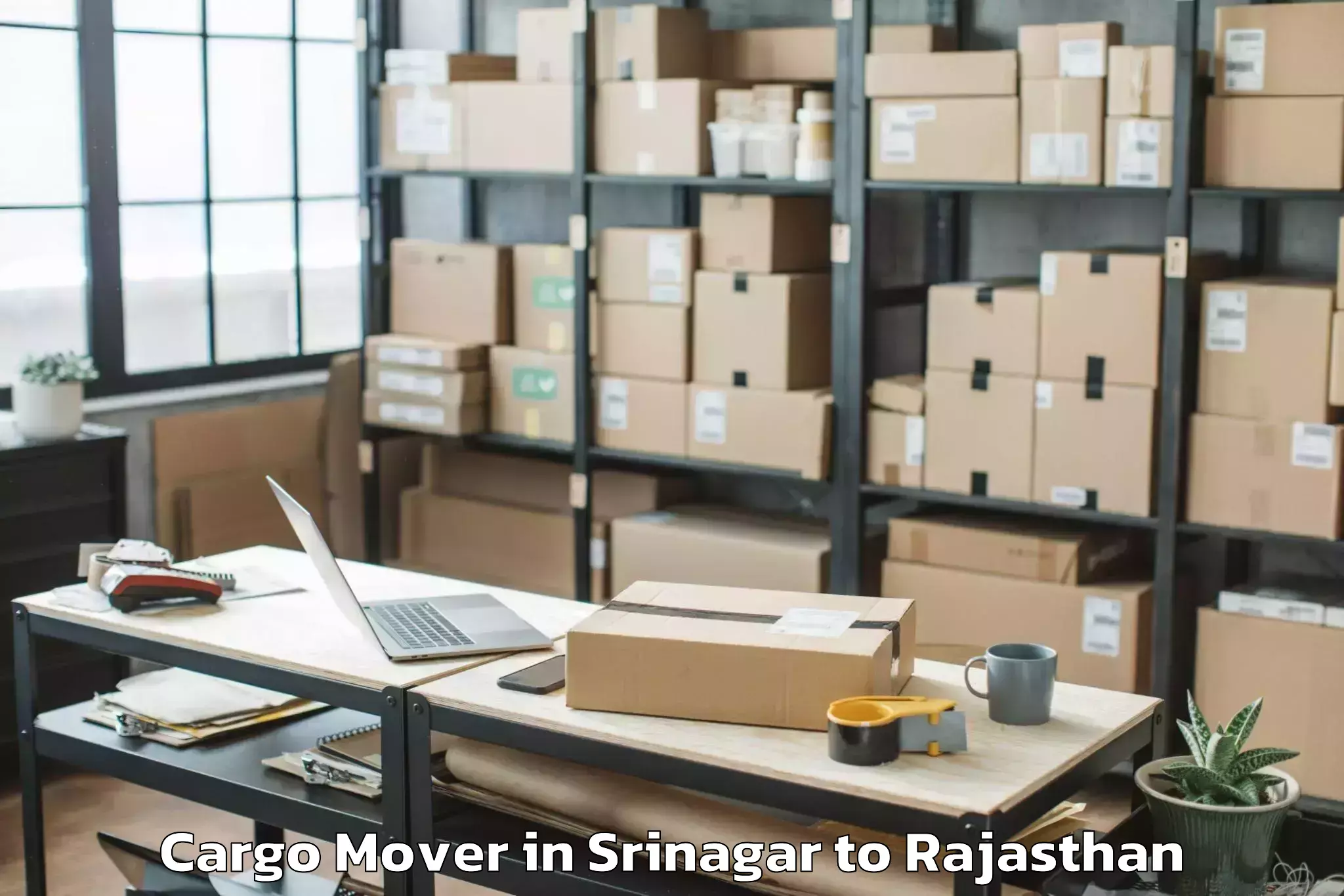 Reliable Srinagar to Dausa Cargo Mover